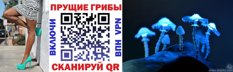 Псилоцибиновые грибы Magic Shrooms Альметьевск