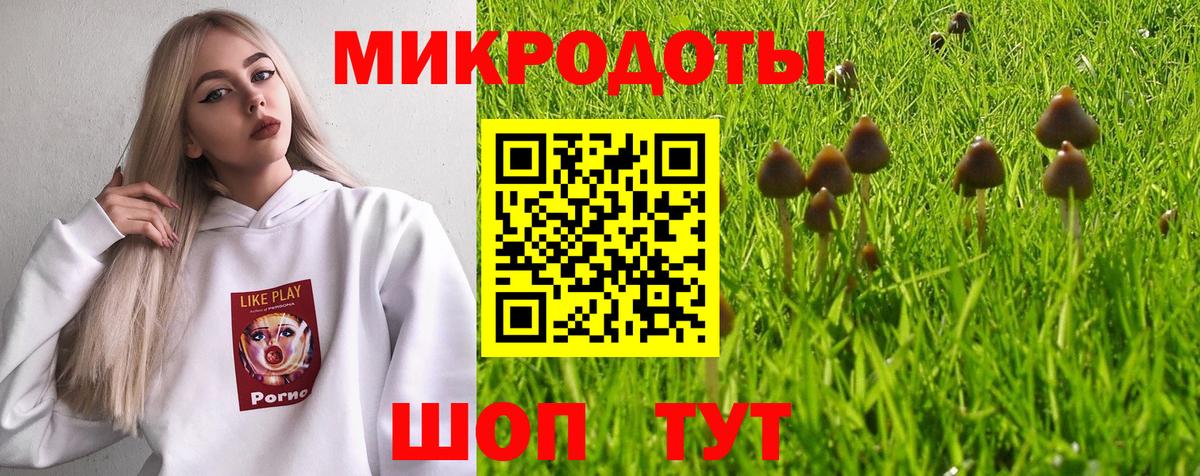 Псилоцибиновые грибы мицелий  Псилоцибиновые грибы GOLDEN TEACHER  Альметьевск 